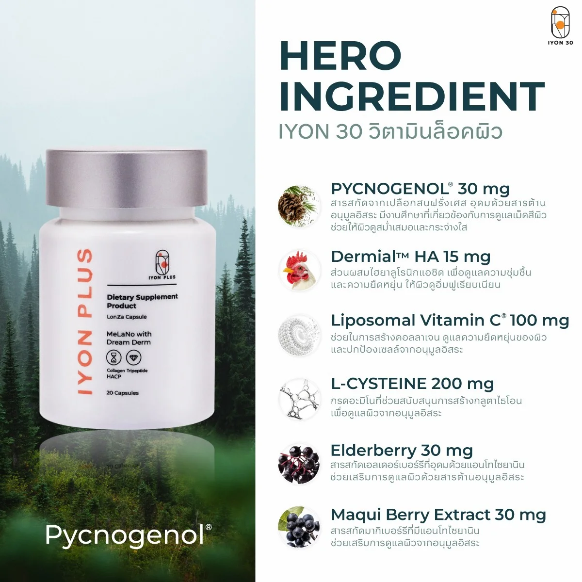 IYON 30 วิตามินล็อคผิว อาหารเสริมผิวใส อิ่มน้ำ Pycnogenol 20 แคปซูล