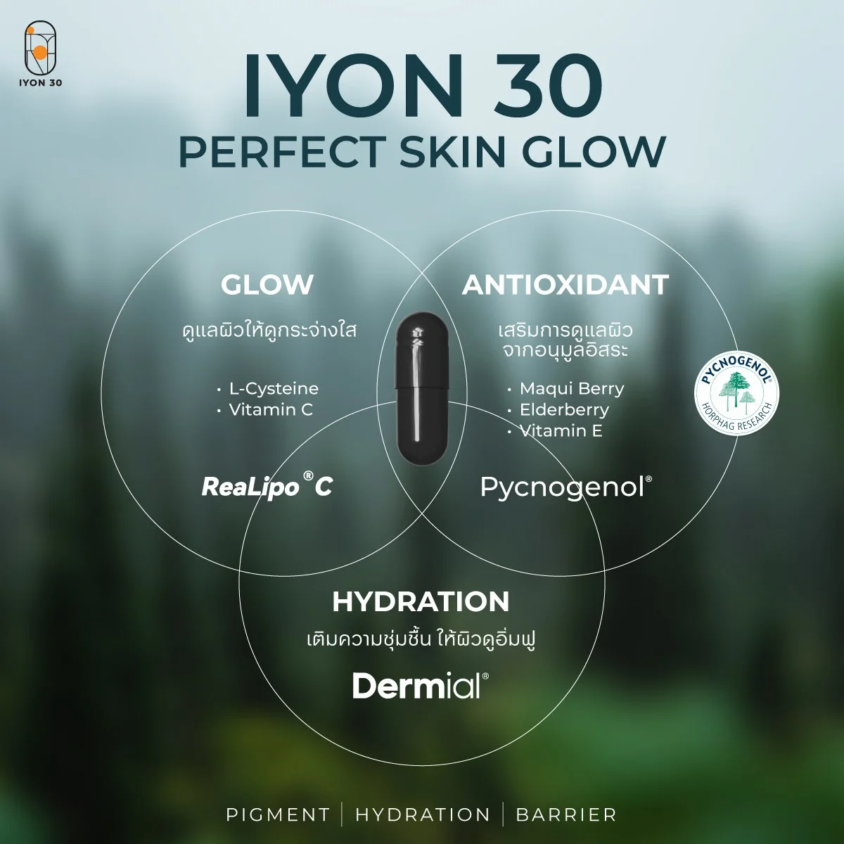 IYON 30 วิตามินล็อคผิว อาหารเสริมผิวใส อิ่มน้ำ Pycnogenol 20 แคปซูล