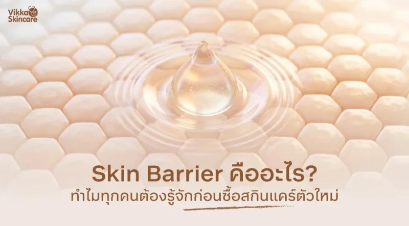 Skin Barrier คืออะไร? ทำไมทุกคนต้องรู้จักก่อนซื้อสกินแคร์ตัวใหม่