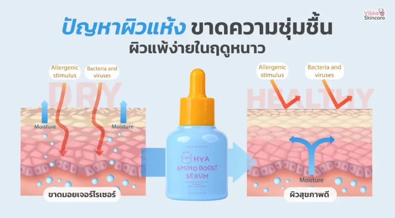 ปัญหาผิวแห้ง ขาดความชุ่มชื้น ผิวแพ้ง่ายในฤดูหนาว