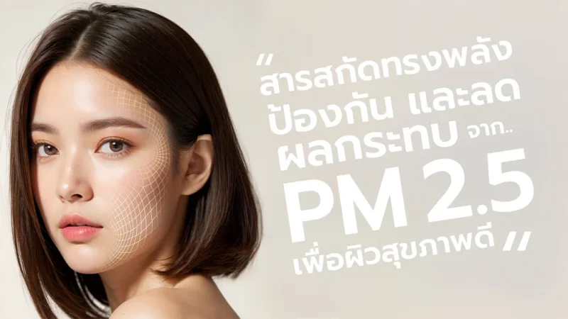 สารสกัดทรงพลัง ป้องกันและลดผลกระทบจาก PM2.5