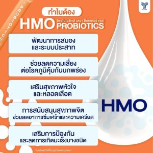 HMO Probiotics โพรไบโอติก 9 สายพันธุ์ 10,000 ล้าน CFU ปรับสมดุลลำไส้ เสริมภูมิคุ้มกัน ตกขาว - Image 4